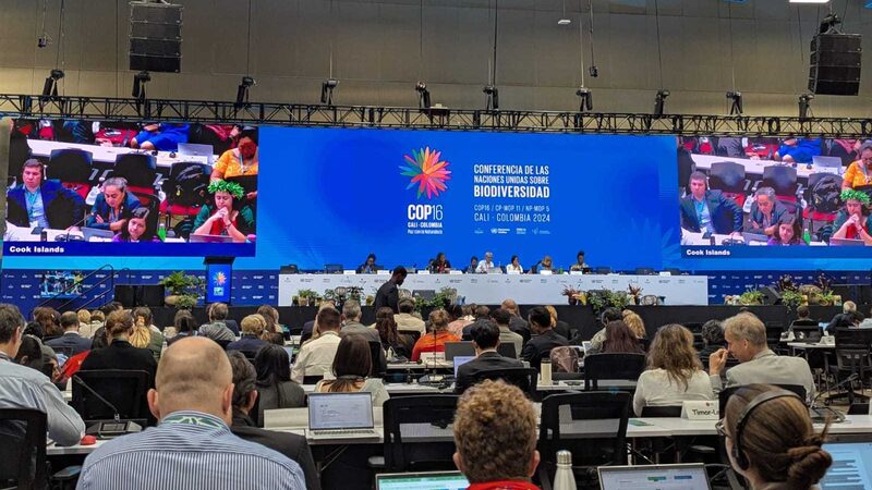 UN_Summit_Reaches_Landmark_Agreement_on_Genetic_Data_Payments - Khabar Asia UN_Summit_Reaches_Landmark_Agreement_on_Genetic_Data_Payments