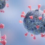 U.S. CDC Warns of Rising COVID-19 Cases Due to New Variant LB.1