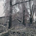 U.S. Cold Snap Leaves Over 100,000 Without Power in Oregon Amid Polar Vortex