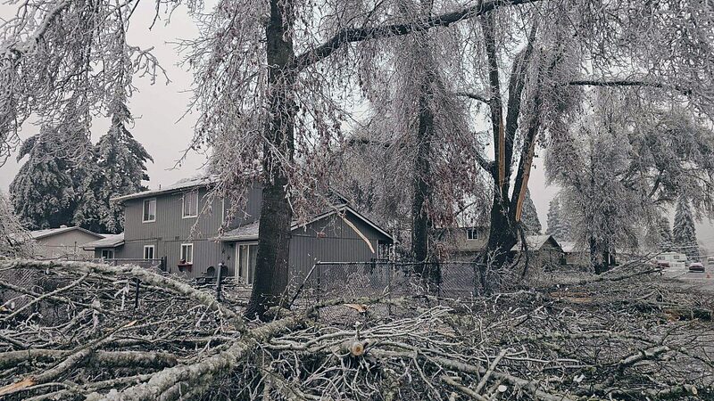 US_Cold_Snap_Leaves_Over_100000_Without_Power_in_Oregon_Amid_Polar_Vortex - Khabar Asia U.S. Cold Snap Leaves Over 100,000 Without Power in Oregon Amid Polar Vortex
