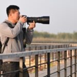 ‘Uncle Bird’ and the Ecological Revival of China's Xiong'an New Area