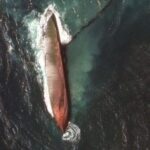 Uncontained Fuel Oil Spill Off Tobago Threatens Caribbean Shores