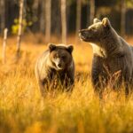 Understanding China's Revised Wildlife Protection Law: Key Changes and Impacts