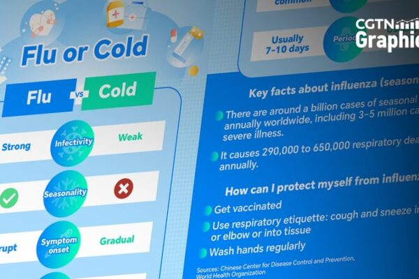 Understanding Influenza: A Global Health Concern Understanding_Influenza__A_Global_Health_Concern