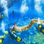 Underwater Dragon Dance Dazzles Visitors in Chongqing Aquarium