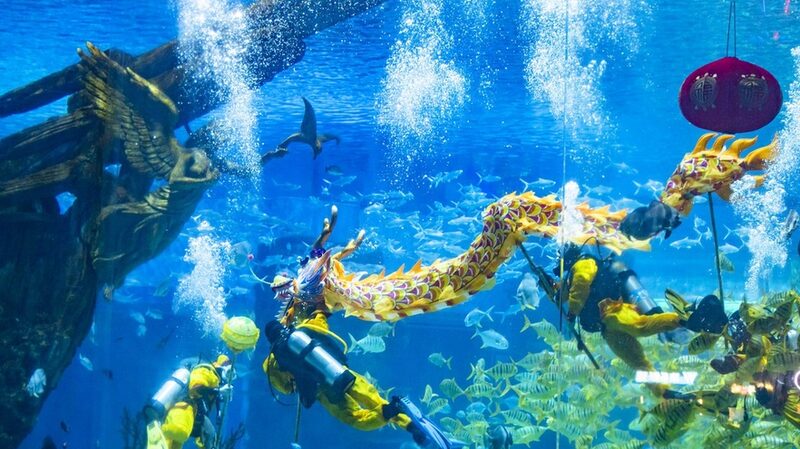 Underwater_Dragon_Dance_Dazzles_Visitors_in_Chongqing_Aquarium - Khabar Asia Underwater Dragon Dance Dazzles Visitors in Chongqing Aquarium