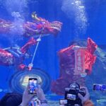 Underwater Dragon Dance Dazzles at Wuhan's Haichang Ocean Park