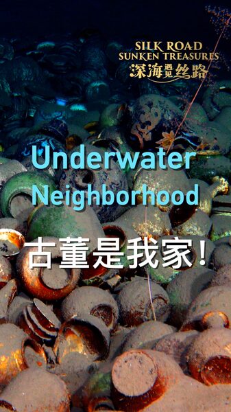 Underwater_Neighborhoods__Sunken_Treasures_Nurturing_Marine_Life_poster - Khabar Asia Underwater_Neighborhoods__Sunken_Treasures_Nurturing_Marine_Life video poster