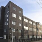 Unintended Substance in Kobayashi Pharma Supplements Linked to Fatalities in Japan