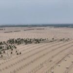 Uniting for Land: World Day to Combat Desertification and Drought Highlights Asia's Role video poster