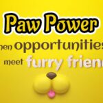 Unleashing Paw Power: China's Booming Pet Industry video poster