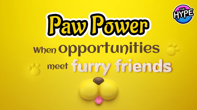 Unleashing_Paw_Power_Chinas_Booming_Pet_Industry_poster - Khabar Asia Unleashing Paw Power: China's Booming Pet Industry video poster