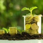 Unlocking Climate Finance: Making Green Investments Profitable and Accessible