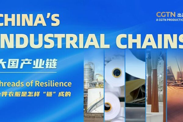 Unraveling_the_Resilience_of_China_s_Textile_Industry_Amid_Global_Changes