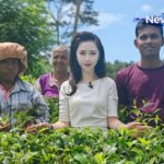 Unveiling Sri Lanka's Tea Secrets: A Journey into the Central Highlands video poster