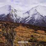 Unveiling the Ancient Forests of Mount Sigu'niang: China's Pristine Wilderness