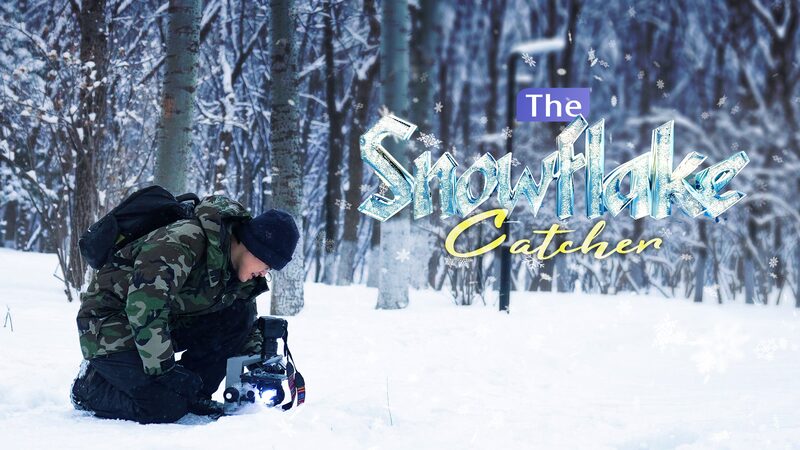 Unveiling_the_Hidden_Beauty_Snowflakes_Come_in_121_Unique_Types_poster - Khabar Asia Unveiling the Hidden Beauty: Snowflakes Come in 121 Unique Types video poster