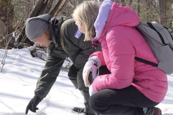 Unveiling the Hidden Wildlife of China's Changbai Mountain video poster