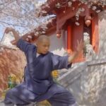 Unveiling the Secrets of Shaolin Kung Fu: Inside the Warrior Monks' Training video poster