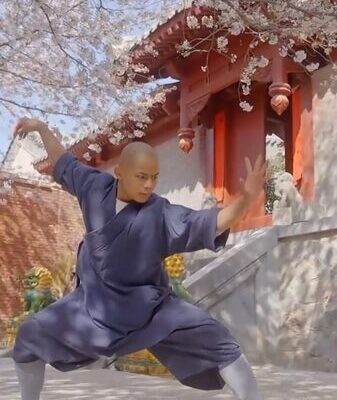 Unveiling the Secrets of Shaolin Kung Fu: Inside the Warrior Monks’ Training Unveiling the Secrets of Shaolin Kung Fu: Inside the Warrior Monks' Training video poster