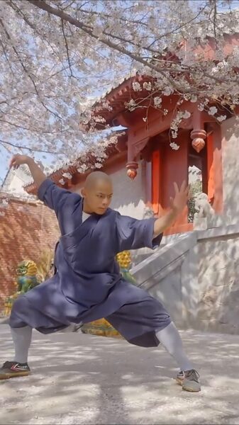 Unveiling the Secrets of Shaolin Kung Fu: Inside the Warrior Monks' Training video poster