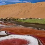 Unveiling_the_Wonders_of_Badain_Jaran_Desert__Lakes_Amidst_Towering_Dunes