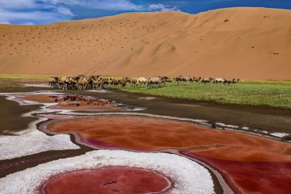 Unveiling the Wonders of Badain Jaran Desert: Lakes Amidst Towering Dunes Unveiling_the_Wonders_of_Badain_Jaran_Desert__Lakes_Amidst_Towering_Dunes