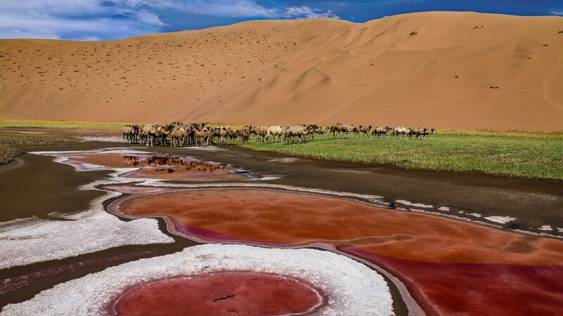 Unveiling_the_Wonders_of_Badain_Jaran_Desert__Lakes_Amidst_Towering_Dunes - Khabar Asia Unveiling_the_Wonders_of_Badain_Jaran_Desert__Lakes_Amidst_Towering_Dunes