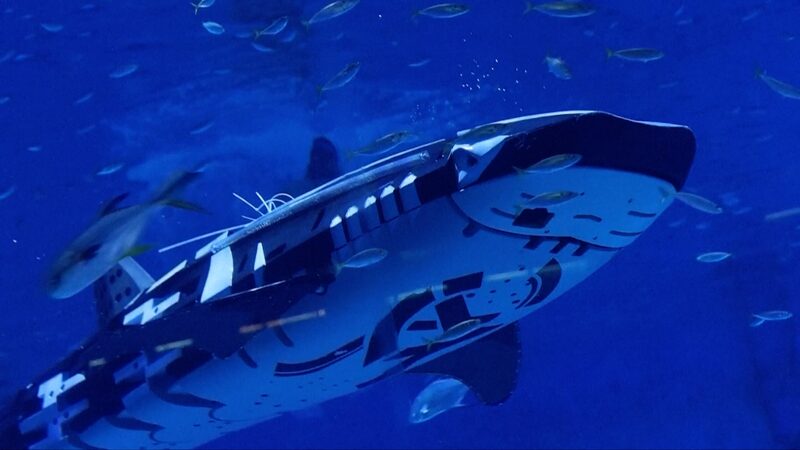 Unveiling_the_World_s_First_Intelligent_Robotic_Whale_Shark_poster - Khabar Asia Unveiling_the_World_s_First_Intelligent_Robotic_Whale_Shark video poster