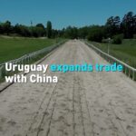 Uruguay_s_Presidential_Candidates_United_on_Enhancing_Trade_with_China video poster