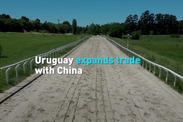 Uruguay’s Presidential Candidates United on Enhancing Trade with China Uruguay_s_Presidential_Candidates_United_on_Enhancing_Trade_with_China video poster