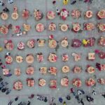 Ushering in the New Year with Chicken: A Symbol of Good Fortune video poster