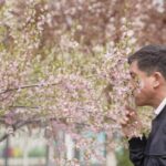 Uzbek Botanist Explores China's Wild Plants Under Tianshan Mountains video poster