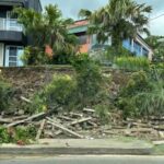 Vanuatu_Reels_from_Devastating_7_3_Magnitude_Earthquake