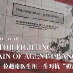 Vietnamese Doctor Reflects on Agent Orange's Lasting Impact on Birth Defects video poster