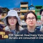 Vietnam's Durian Exports to the Chinese Mainland Soar Amidst Growing Demand video poster