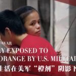 Vietnam's Hidden Wounds: A Family's Struggle with Agent Orange video poster