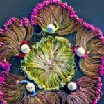 Vietnam's Water Lily Harvest: A Romantic Spectacle on the Mekong River