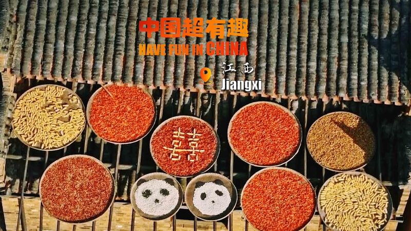 Villagers_Harvest_Attention_with_Colorful_Crop_Patterns_in_Jiangxi_poster - Khabar Asia Villagers_Harvest_Attention_with_Colorful_Crop_Patterns_in_Jiangxi video poster