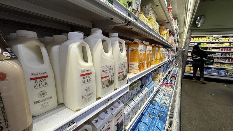 WHO_Calls_for_Increased_Bird_Flu_Surveillance_After_First_US_Child_Case_Detected