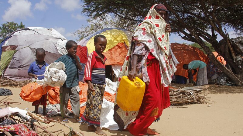 WHO_Launches_Lifesaving_Project_for_900000_Somalis_Affected_by_Climate_Crisis - Khabar Asia WHO Launches Lifesaving Project for 900,000 Somalis Affected by Climate Crisis