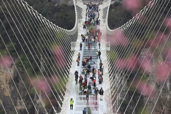 Walking on Air: Tourists Flock to Zhangjiajie’s Glass-Bottom Bridge in Hunan Walking on Air: Tourists Flock to Zhangjiajie's Glass-Bottom Bridge in Hunan