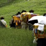 Wangguo_Festival_Brings_Vibrant_Harvest_Celebrations_to_Xizangs_Jiuhe_Village_poster - Khabar Asia Wangguo Festival Brings Vibrant Harvest Celebrations to Xizang's Jiuhe Village video poster