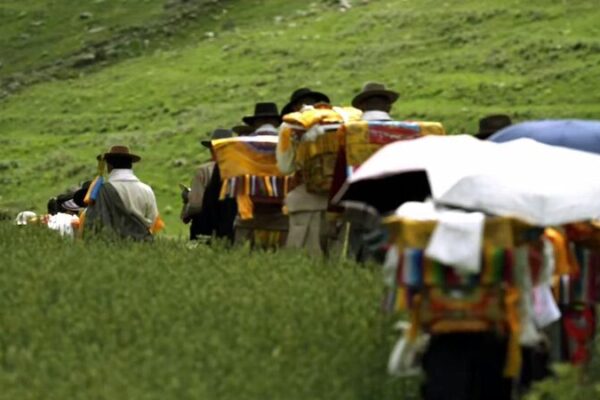 Wangguo Festival Brings Vibrant Harvest Celebrations to Xizang’s Jiuhe Village Wangguo Festival Brings Vibrant Harvest Celebrations to Xizang's Jiuhe Village video poster
