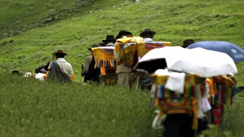 Wangguo Festival Brings Vibrant Harvest Celebrations to Xizang's Jiuhe Village video poster