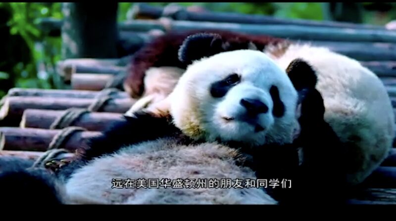 Washington_State_and_Sichuan_Province_Celebrate_40_Years_of_Friendship_Online_poster - Khabar Asia Washington State and Sichuan Province Celebrate 40 Years of Friendship Online video poster