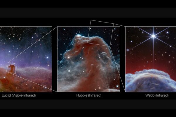 Webb Telescope Unveils Stunning New Images of Horsehead Nebula Webb Telescope Unveils Stunning New Images of Horsehead Nebula