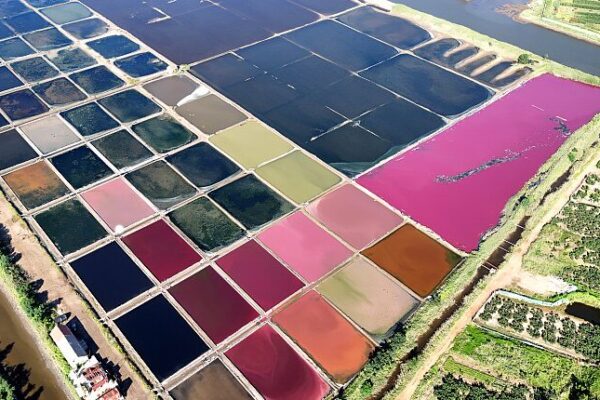 Weihai’s Salt Fields Paint the Sky with Nature’s Palette Weihai_s_Salt_Fields_Paint_the_Sky_with_Nature_s_Palette