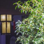 White_Dew__Embracing_Autumn_s_Arrival_with_Mellow_Tea_and_Morning_Dew