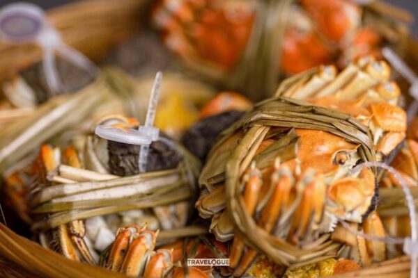 Why Foodies in China Love Hairy Crab Why_Foodies_in_China_Love_Hairy_Crab